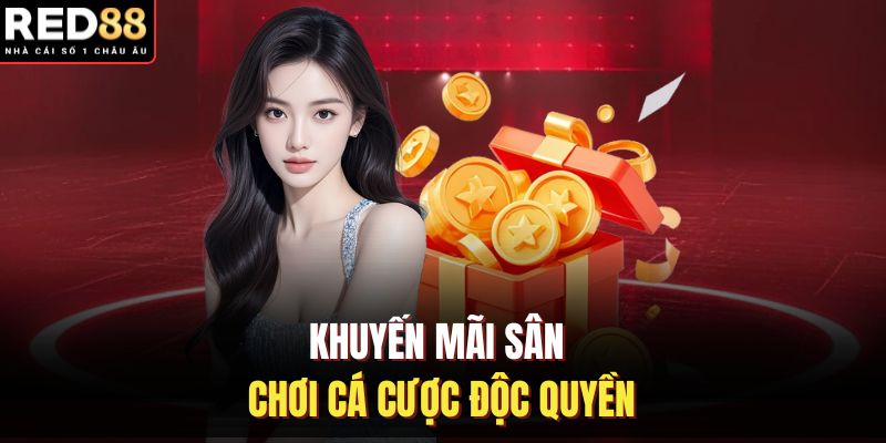 Khuyến mãi sân chơi cá cược độc quyền