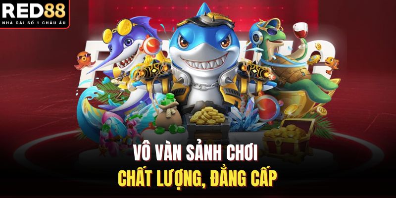 Vô vàn sảnh chơi chất lượng, đẳng cấp